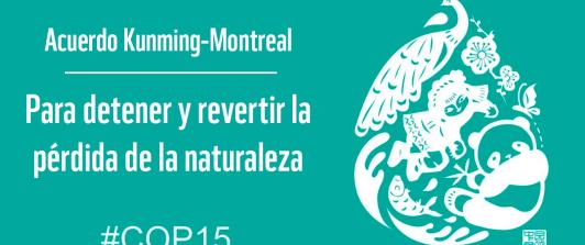 Kunming-Montreal