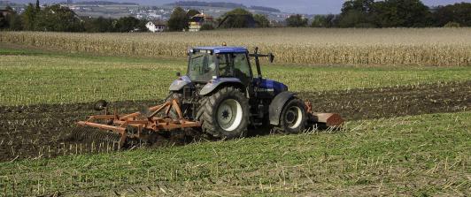 Economía en Colombia creció 2,02%, la actividad de mayor sector agro