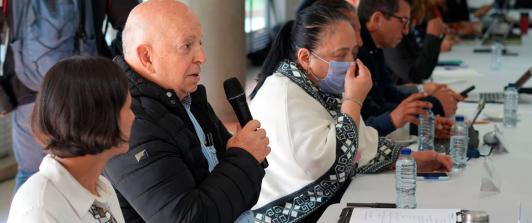 Otty Patiño, Alto Comisionado de Paz