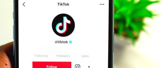 Canadá bloquea la aplicación Tiktok. / Foto: Pixabay.