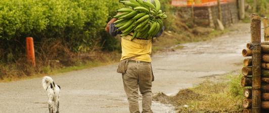 Presidente propone compra directa a campesinos para garantizar alimentación de niños y erradicar la corrupción