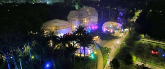 Alumbrados navideños: Jardín Botánico