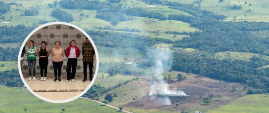 Tráfico ilícito de madera en el Amazonas. / Fotos: MinAmbiente.