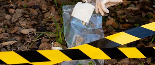 2024: el año más violento en Bogotá en desde 2016