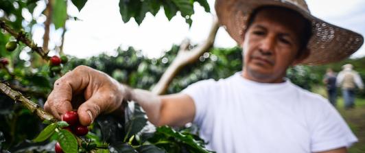 Exportaciones de productos agropecuarios y manufacturas impulsan crecimiento sostenido en 2024