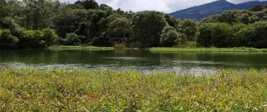 Colombia refuerza su compromiso con la protección de los humedales en el Día Mundial de los Humedales