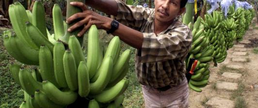El Día del hombre no es una celebración oficial en Colombia. Sin embargo, muchas familias la celebran por tradición religiosa. / Foto: AFP.