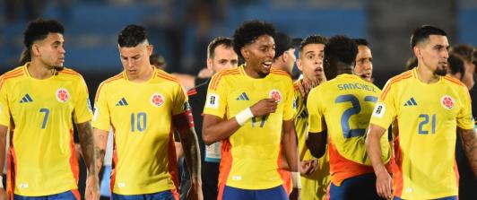 Selección Colombia en Eliminatorias. / Foto: AFP.