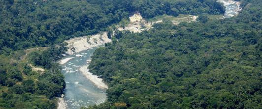 Incautan 49 toneladas de coltán extraídas ilegalmente en la selva colombiana: ¿por qué es tan valioso este mineral?