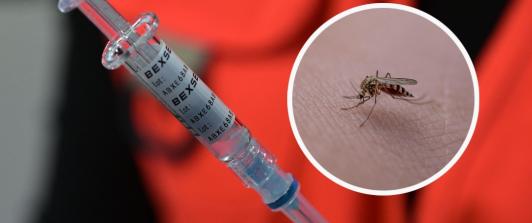 Municipios alto riesgo fiebre amarilla. / Fotos: AFP y Pixabay.