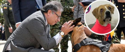Petro promulga leyes Ángel y Lorenzo. / Foto: Presidencia y  Asociación de Protección Animal Mi Mejor Amigo.