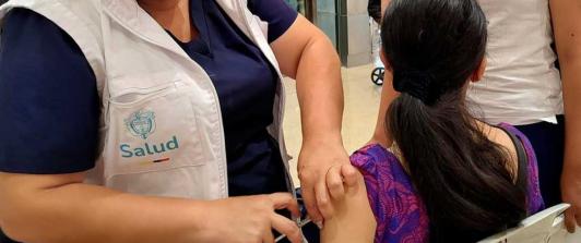 Carné de vacunación contra la fiebre amarilla. / Foto: MinSalud.