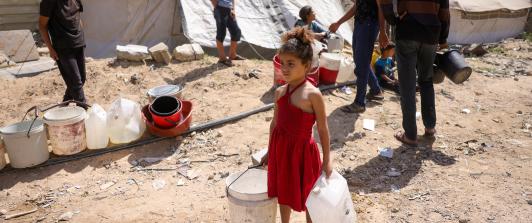 Veintidós países exigen a Israel reanudar la ayuda humanitaria a Gaza ante crisis por ofensiva militar