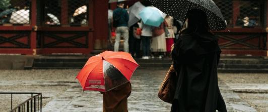 Temporada de lluvias y alerta roja. / Foto: Pixabay.