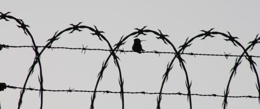 Colombianos detenidos en Venezuela. / Foto: Pixabay.