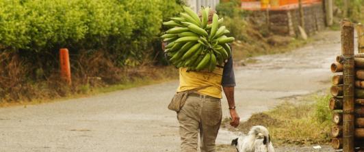 Crecimiento del PIB en Colombia en comparación al primer trimestre del 2024. / Foto: Pixabay.