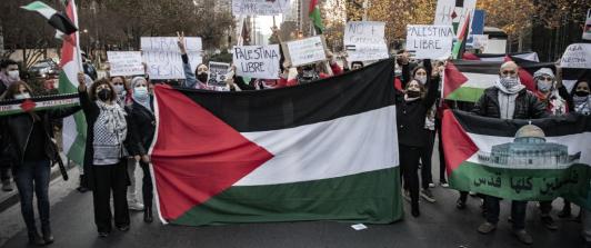 Parlamentarios británicos exigen al primer ministro reconocer a Palestina