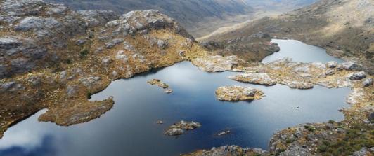 Páramo de Santurbán. / Foto: Universidad Nacional.