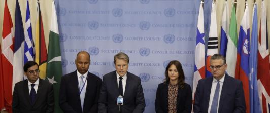 Declaración pública ONU.