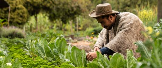 Colombia impulsa su transformación económica con reforma agraria histórica