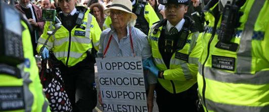 Manifestante en Londres.