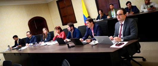 ​Encuentro de alto nivel de la directora de la Cancillería, Patricia Cortés Ortiz, y la secretaria general de la Fundación Consejo España-Colombia, Carmen Fernández.​