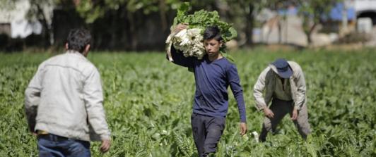 Colombia registra la tasa de desempleo más baja en 24 años para el mes de agosto