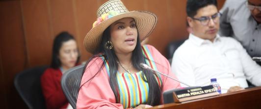 Exconsejera Sandra Ortiz declaró que la senadora Martha Peralta no participó en corrupción de UNGRD