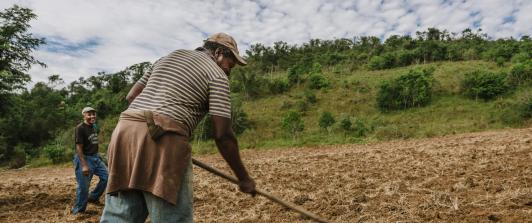 Agro colombiano genera 4,8 millones de empleos