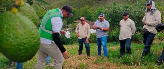 Colombia en más mercados internacionales. / Foto: ICA.