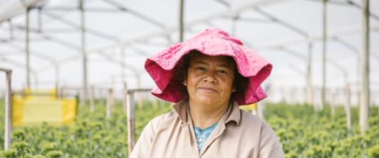 Impulso a la economía colombiana en las mujeres. / Foto: Dirección de Mujer Rural.