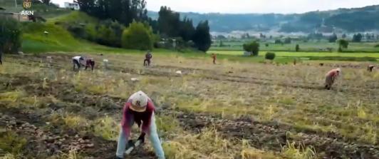 Convocatoria fondo emprender para firmantes de paz que trabajan en el campo