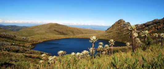 Laguna y frailejones en el Parque Nacional Natural Chingaza