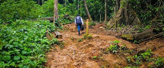 Petro ordena despliegue militar en el Darién 