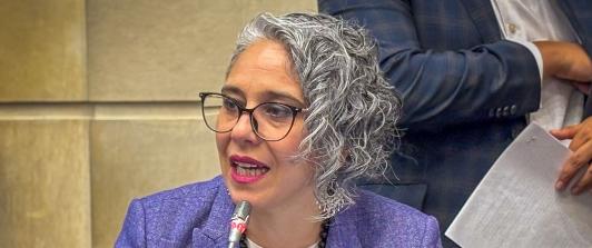 María José Pizarro.