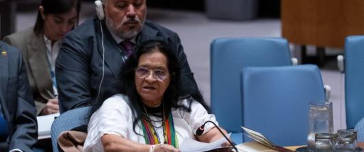 Embajadora de Colombia ante el Consejo de la ONU, Leonor Zalabata. / Foto: ONU.