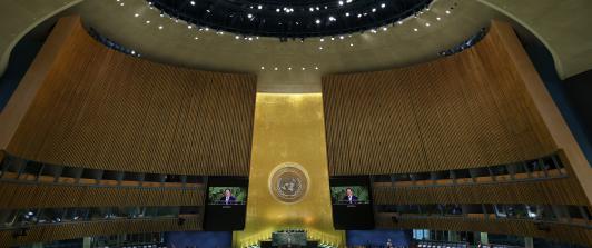 ONU aprueba resolución contra la tortura; EE. UU., Israel y Argentina votan en contra 