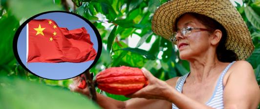 China abre sus puertas al agro colombiano en la VIII Exposición Internacional de Importaciones