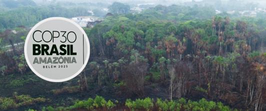 COP30 en Brasil. / Fotos: AFP.