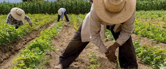 Jurisdicción Agraria sigue estancada en el Congreso