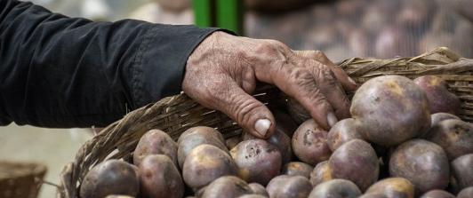 Inflación de noviembre desciende a 5,30% impulsada por caída en precios de alimentos