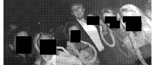 Demócratas divulgaron fotos de Trump con Epstein.