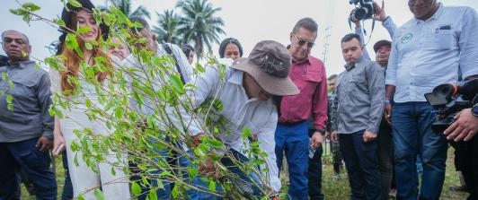 Sustitución de cultivos ilícitos alcanza 26 mil hectáreas en Colombia