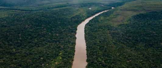 Deforestación en el Amazonas. / Foto: MinAmbiente.