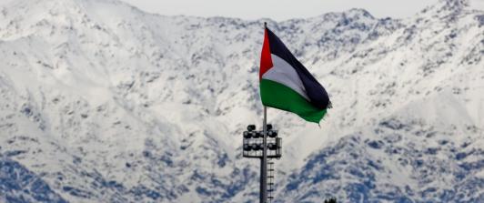 Club Palestino en Chile. / Foto: Página oficial de Palestino.