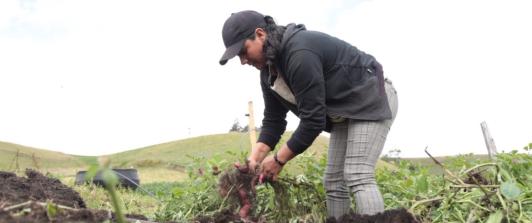 Actividades de agricultura en el ISE 2025. / Foto: X MinAgricultura.