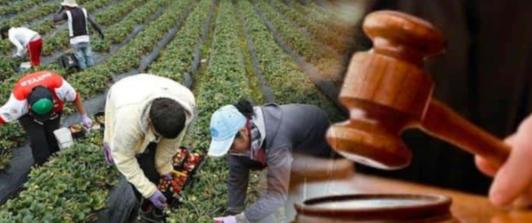 Jurisdicción agraria. / Foto: Senado.