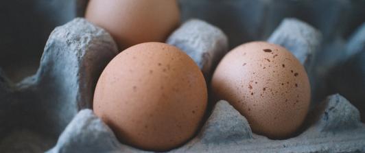 Colombia abre mercado estadounidense para exportación de huevos