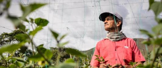 Empleo en Colombia. / Foto: Radio Nacional de Colombia.