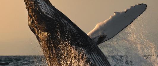 Turismo en Colombia. / Foto: Colombia Travel.